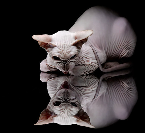 九游娱乐官方平台-今年联盟助攻榜:最精彩的“神级传球”瞬间盘点!,lol助攻榜