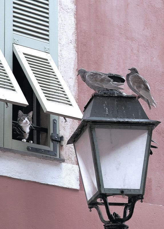 九游娱乐官方平台-今年联盟助攻榜:最精彩的“神级传球”瞬间盘点!,lol助攻榜
